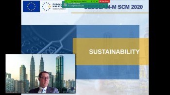 Virtual SEBSEAM-M Steering Committee Meeting