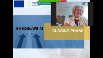 Virtual SEBSEAM-M Steering Committee Meeting